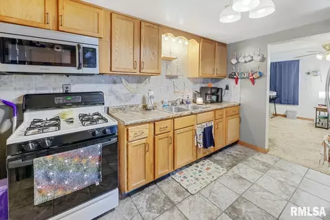 304 E 3rd St, Delavan, IL 61734 photo 9