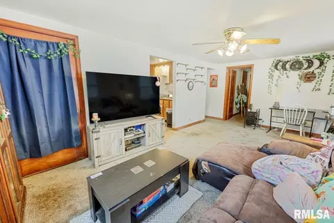 304 E 3rd St, Delavan, IL 61734 photo 8