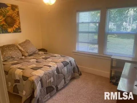 307 N 5th St, Dunlap, IL 61525 photo 18