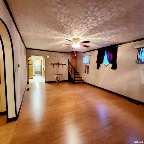 Other - 525 S Main St, Canton, IL 61520 photo 6 of 31