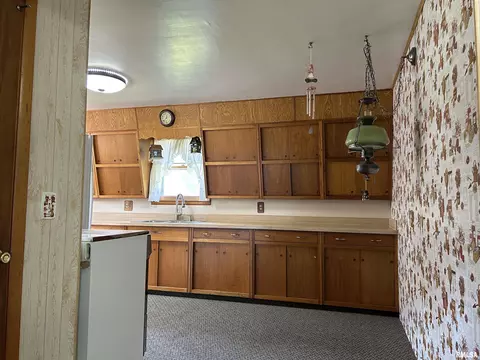301 Front St, Varna, IL 61375 photo 8