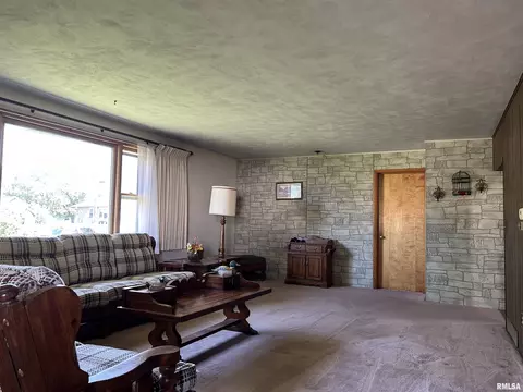 301 Front St, Varna, IL 61375 photo 5