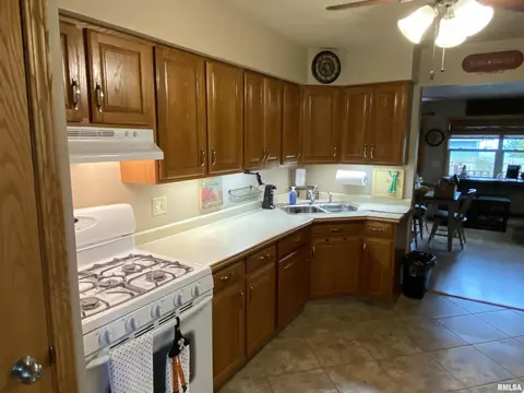310 Iris Ct, Canton, IL 61520 photo 9