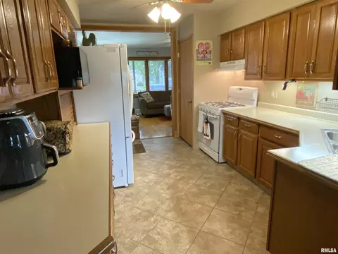310 Iris Ct, Canton, IL 61520 photo 11