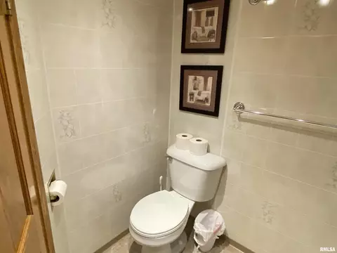 310 Iris Ct, Canton, IL 61520 photo 32