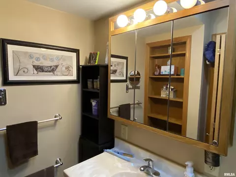 310 Iris Ct, Canton, IL 61520 photo 21