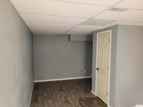 1075 E Cortland Rd, Avon, IL 61415 photo 22