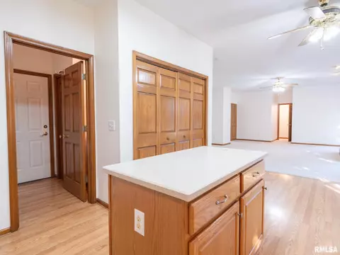 2306 W Murphy Dr, Dunlap, IL 61525 photo 17