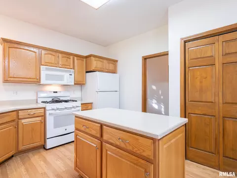 2306 W Murphy Dr, Dunlap, IL 61525 photo 10