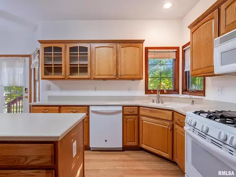 2306 W Murphy Dr, Dunlap, IL 61525 photo 12