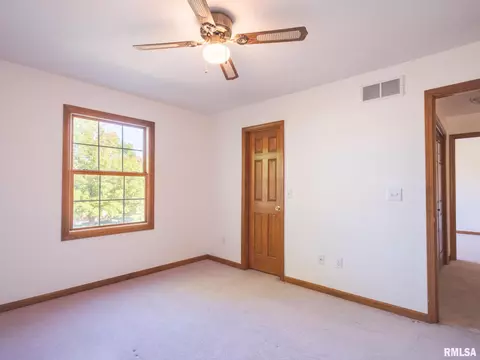2306 W Murphy Dr, Dunlap, IL 61525 photo 38