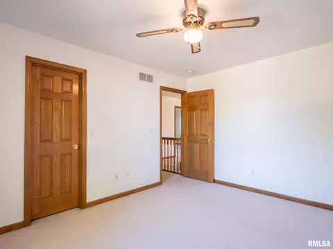 2306 W Murphy Dr, Dunlap, IL 61525 photo 39