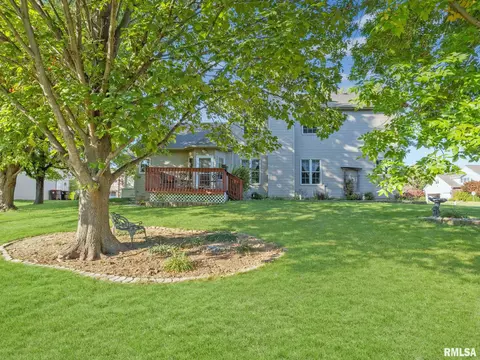 2306 W Murphy Dr, Dunlap, IL 61525 photo 59