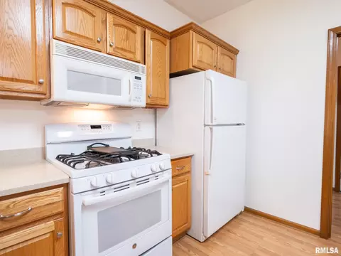 2306 W Murphy Dr, Dunlap, IL 61525 photo 15