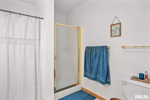 121 Easy St, Washington, IL 61571 photo 17