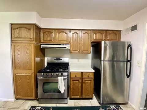 711 E Willcox Ave, Peoria, IL 61603 photo 8