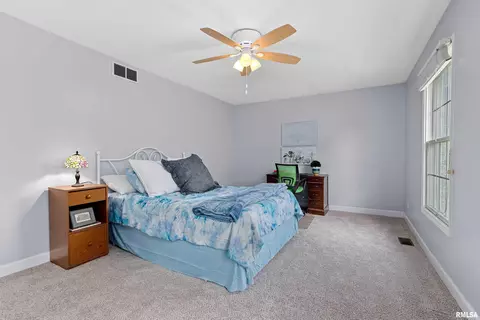 2208 W Brooklyn Pl, Dunlap, IL 61525 photo 25