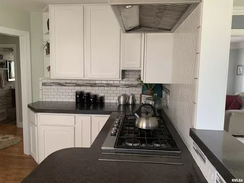 920 Elmhurst Ave, Peoria, IL 61603 photo 11