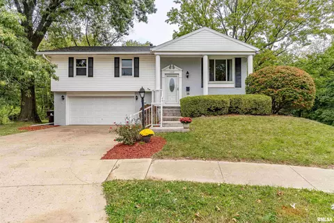 2300 W Pintura Ct, Peoria, IL 61614