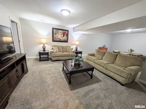 1461 Eagle Ave, Washington, IL 61571 photo 42