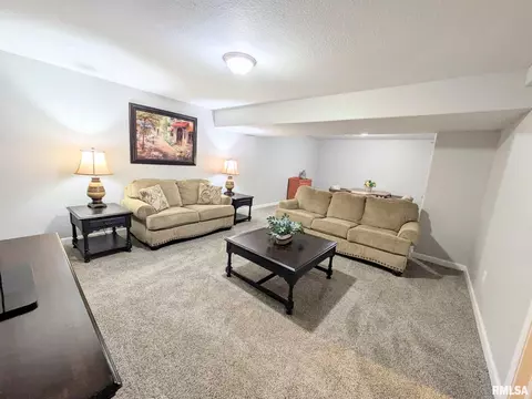 1461 Eagle Ave, Washington, IL 61571 photo 43