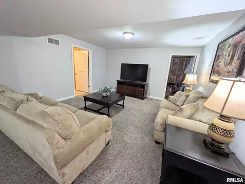 1461 Eagle Ave, Washington, IL 61571 photo 41