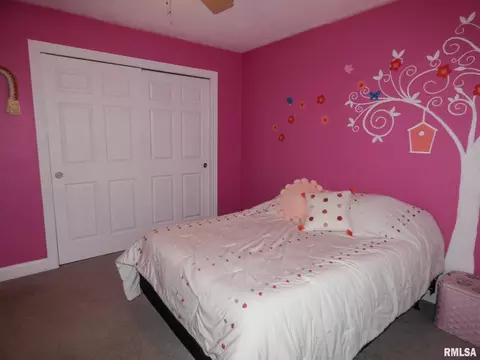 8111 W Thorngate Dr, Mapleton, IL 61547 photo 27