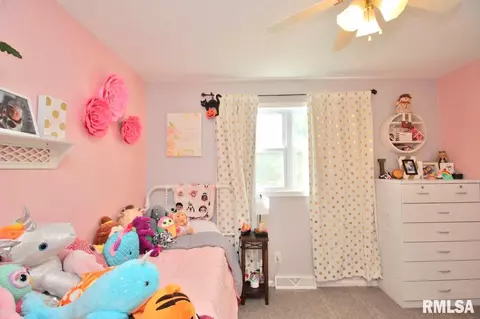 7803 W Hideaway Ct, Mapleton, IL 61547 photo 42