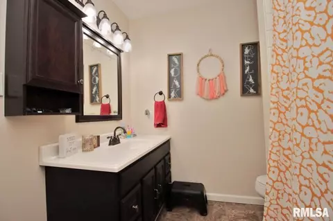 7803 W Hideaway Ct, Mapleton, IL 61547 photo 34