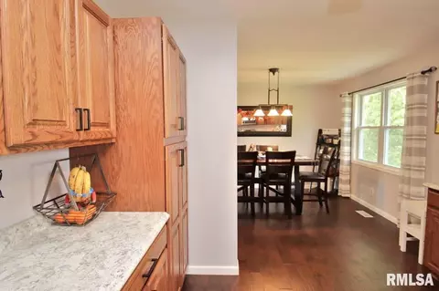 7803 W Hideaway Ct, Mapleton, IL 61547 photo 31