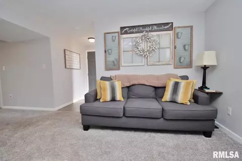 7803 W Hideaway Ct, Mapleton, IL 61547 photo 59