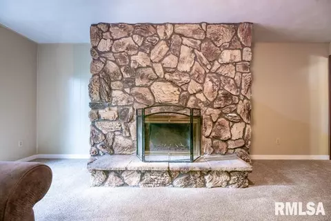 5019 S Whittingham Cv, Mapleton, IL 61547 photo 30