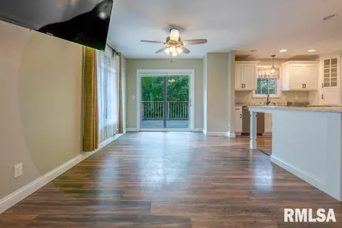 5019 S Whittingham Cv, Mapleton, IL 61547 photo 12