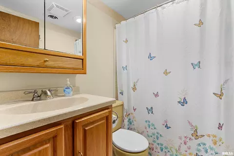 1167 County Road 2100 E, Roanoke, IL 61561 photo 17