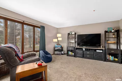 24468 E Oak Park Rd, Canton, IL 61520 photo 12