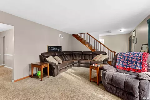 24468 E Oak Park Rd, Canton, IL 61520 photo 14