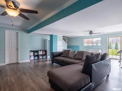 205 Bittersweet Ave, Germantown Hills, IL 61548 photo 41