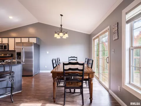 205 Bittersweet Ave, Germantown Hills, IL 61548 photo 11