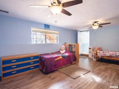 205 Bittersweet Ave, Germantown Hills, IL 61548 photo 44