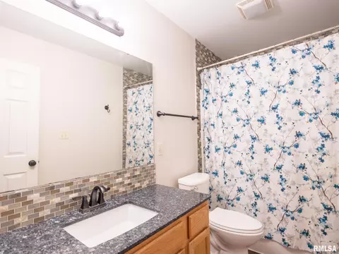 205 Bittersweet Ave, Germantown Hills, IL 61548 photo 33