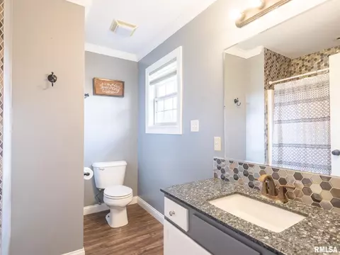 205 Bittersweet Ave, Germantown Hills, IL 61548 photo 28