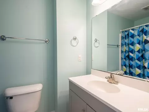 205 Bittersweet Ave, Germantown Hills, IL 61548 photo 43