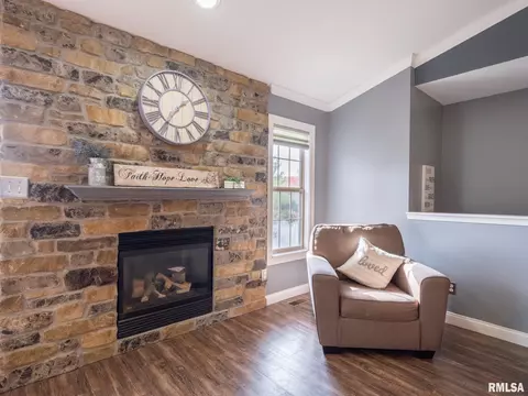 205 Bittersweet Ave, Germantown Hills, IL 61548 photo 22