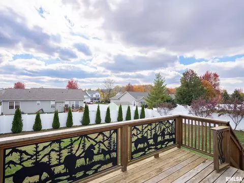 205 Bittersweet Ave, Germantown Hills, IL 61548 photo 60