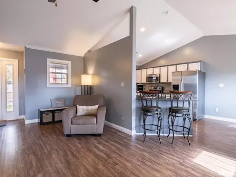 205 Bittersweet Ave, Germantown Hills, IL 61548 photo 8
