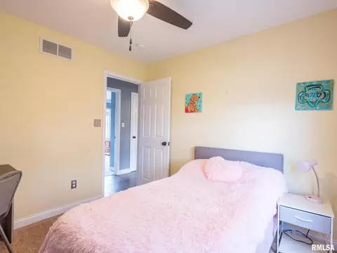205 Bittersweet Ave, Germantown Hills, IL 61548 photo 36