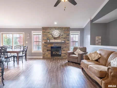 205 Bittersweet Ave, Germantown Hills, IL 61548 photo 4