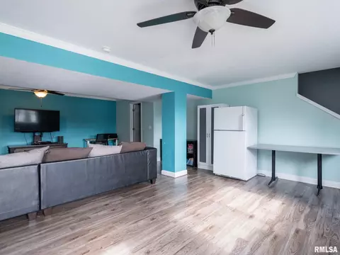 205 Bittersweet Ave, Germantown Hills, IL 61548 photo 38