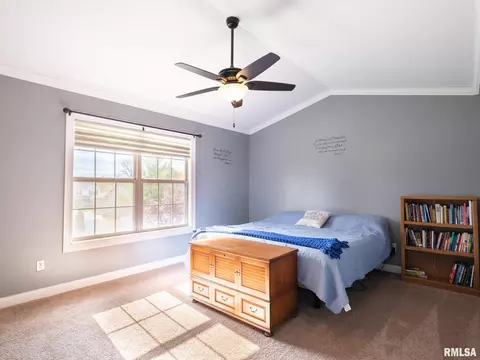 205 Bittersweet Ave, Germantown Hills, IL 61548 photo 24