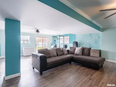 205 Bittersweet Ave, Germantown Hills, IL 61548 photo 39
